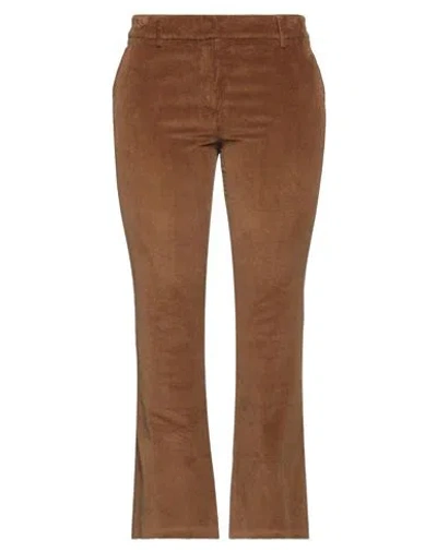 True Royal Woman Pants Brown Size 8 Cotton, Elastane