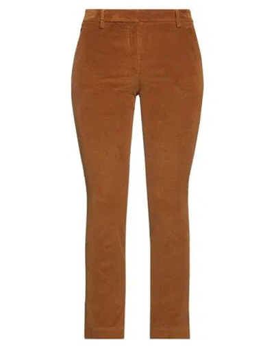 True Royal Woman Pants Brown Size 8 Cotton, Elastane