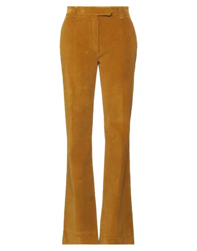 True Royal Pants In Yellow