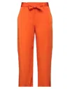 True Royal Pants In Orange