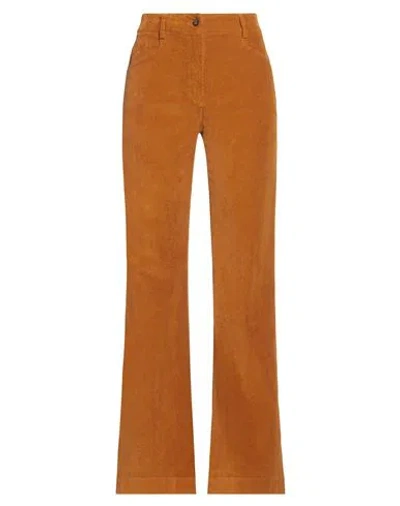 True Royal Woman Pants Tan Size 4 Cotton, Lycra, Elastane In Brown