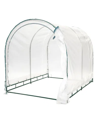 True Shelter 6' X 8' Portable Green House In Clear