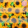 Truedames 6pcs - Silk Feel Sunflower Pattern Print Scarves In Yellow