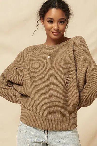 Truedames A Ribbed Knit Sweater In Brown