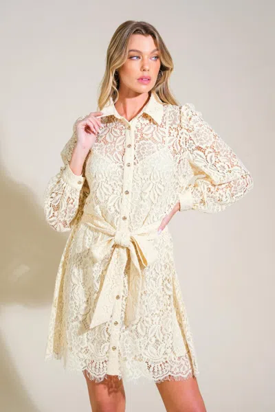 Truedames Adore You Lace Mini Dress In White