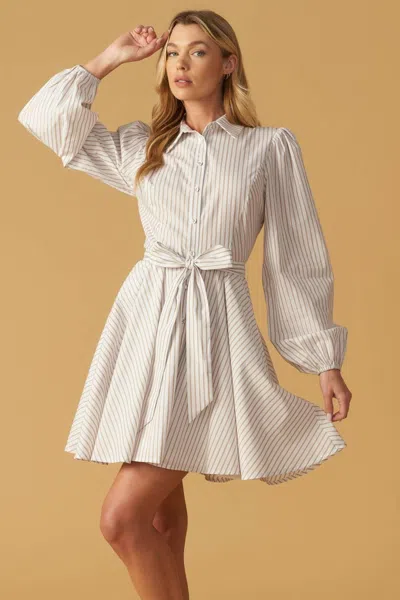 Truedames Beauty & Style Woven Mini Dress In White