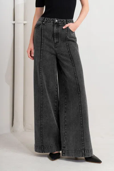 Truedames Graphite Muse Denim Pants In Black