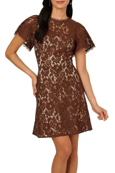 Truedames Illusion Neckline Wide Short Sleeves Define Fit Bodice Lace Overlay A-line Short Dress In Brown