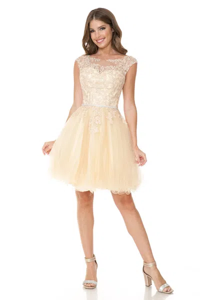 Truedames Lace Applique Cap Sleeve Short Tulle Party Dress With Rhinestone Belt In White