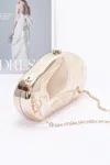 Truedames Metallic Plastic Party Clutch In Gold