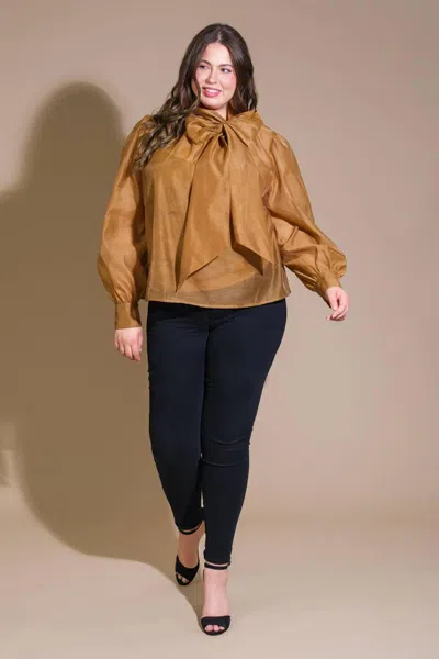 Truedames On This Day Organza Top In Brown