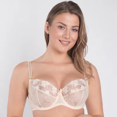 Truedames Sheer Mesh Balconette Bra Biscuit In Burgundy