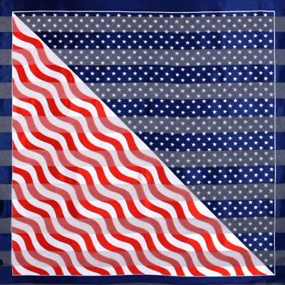 Truedames Silky Satin Feel American Usa Flag Print Square Scarf In Blue