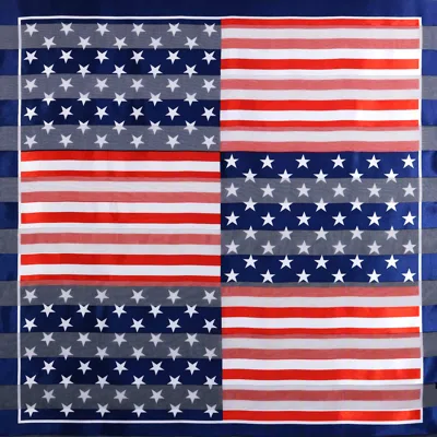 Truedames Silky Satin Feel American Usa Flag Print Square Scarf In Blue