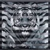 Truedames Silky Satin Feel Tiger Print Square Scarf In Blue