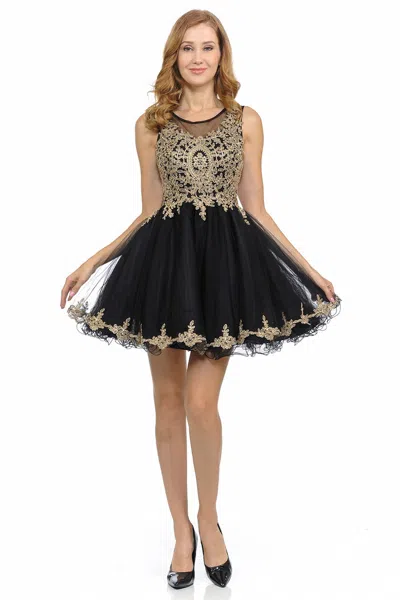 Truedames Sleeveless Illusion Neck Embroidered Short Dress With Tulle Skirt For Parties In Black