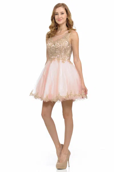 Truedames Sleeveless Illusion Neck Embroidered Short Dress With Tulle Skirt For Parties In Pink