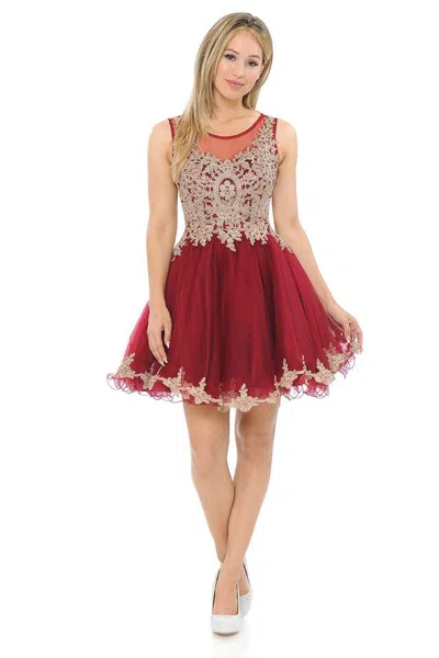 Truedames Sleeveless Illusion Neck Embroidered Short Dress With Tulle Skirt For Parties In Red