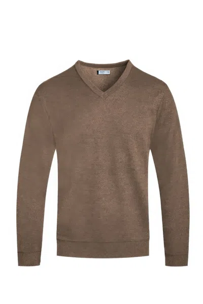 Truedames Solid V-neck Sweater In Brown