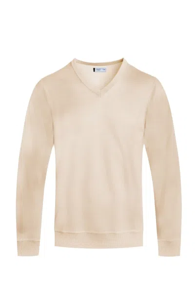 Truedames Solid V-neck Sweater In Neutral