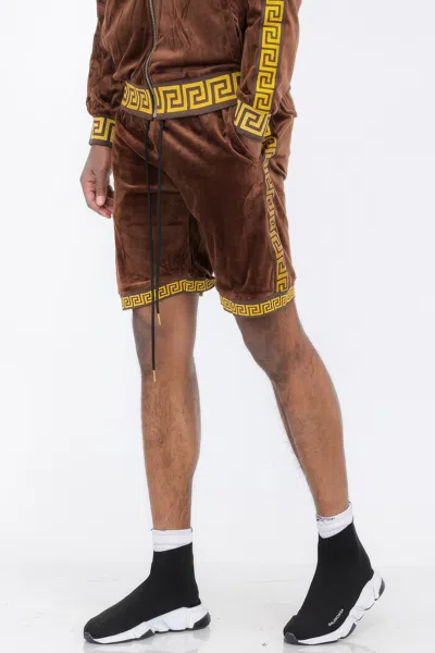 Truedames Status Print Velour Shorts Suede Shorts In Brown