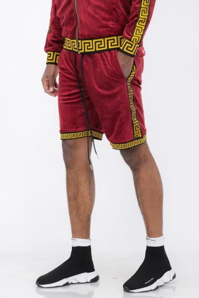 Truedames Status Print Velour Shorts Suede Shorts In Multi