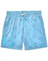 Trunk S Surf & Swim Co. Flamingos Sano Swim Short