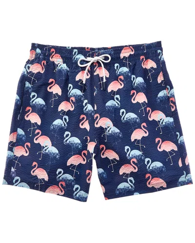 Trunks Surf & Swim Co. Print Swim Trunk In Multi