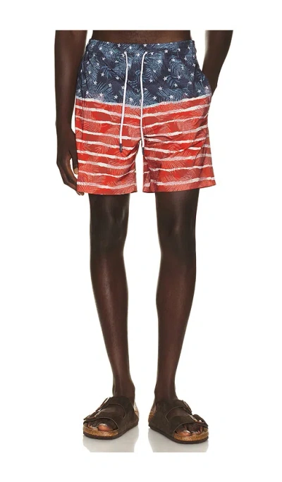 Trunks Surf & Swim Co. Sano 6.5 Swim Short In 미드나이트