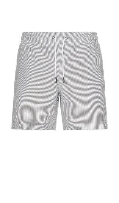 Trunks Surf & Swim Co. Sano 6.5 Swim Short In White