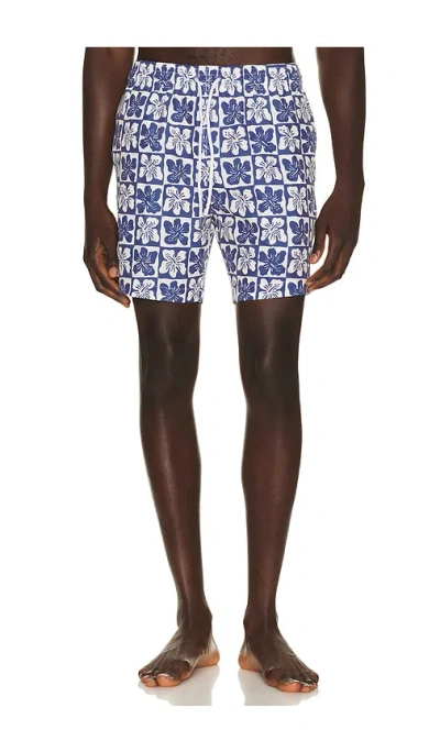 Trunks Surf & Swim Co. Sano 6.5 Swim Short In Multi