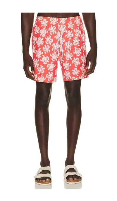 Trunks Surf & Swim Co. Sano 6.5 Swim Short In Multi