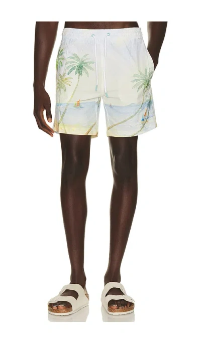 Trunks Surf & Swim Co. Sano 6.5 Swim Short In Multi