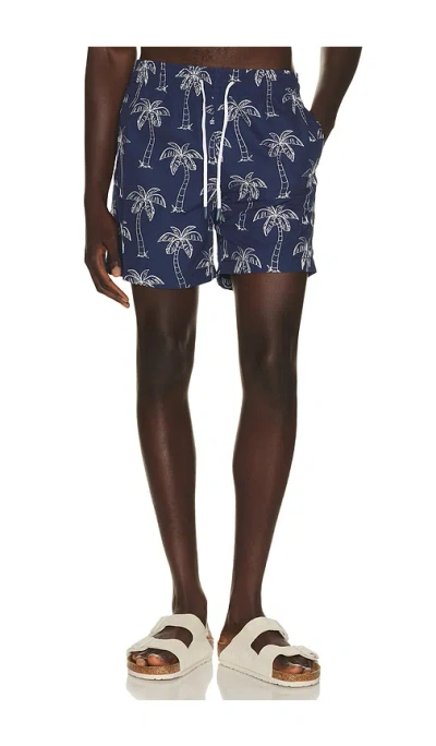 Trunks Surf & Swim Co. Sano 6.5 Swim Short In Multi