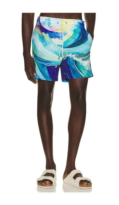 Trunks Surf & Swim Co. Sano 6.5 Swim Short In Multi