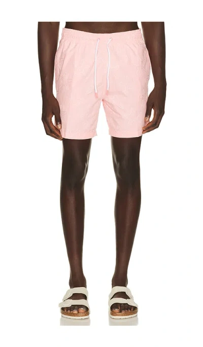 Trunks Surf & Swim Co. Sano 6.5 Swim Short In Pink