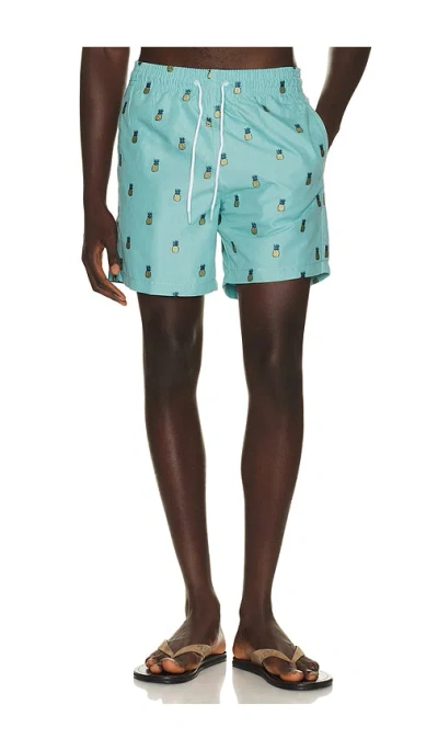 Trunks Surf & Swim Co. Sano 6.5 Swim Short In Seafoam