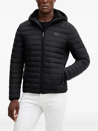 Trussardi Hooded Quilted Jacket In Black
