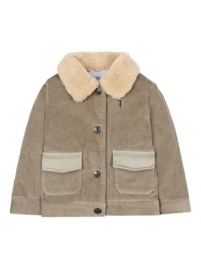 Trussardi Junior Babies' Corduroy Faux-fur Collar Jacket In Brown