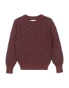 Trussardi Junior Toddler Boy Sweater Chocolate Brown Size 6 Acrylic, Cotton
