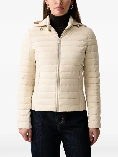 Trussardi Quilted Hooded Jacket In Neutral