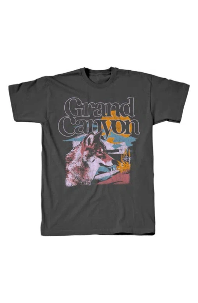 Tsc Miami Grand Canyon Cotton Graphic T-shirt In Charcoal