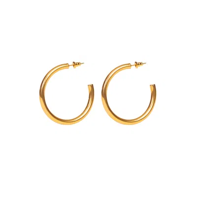 Tseatjewelry Women's Gold Classic Hoop Earrings