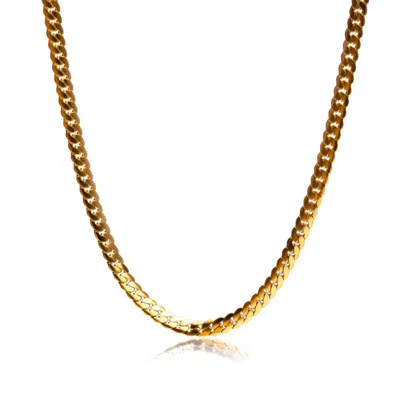 Tseatjewelry Sneak Chain Necklace In Gold