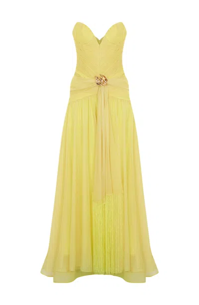 Tuba Ergin Women's Yellow Charlotte Maxi Dress