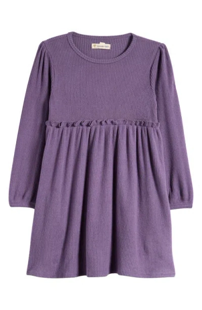 Tucker + Tate Kid's Ruffle Long Sleeve Dress In Purple Montana