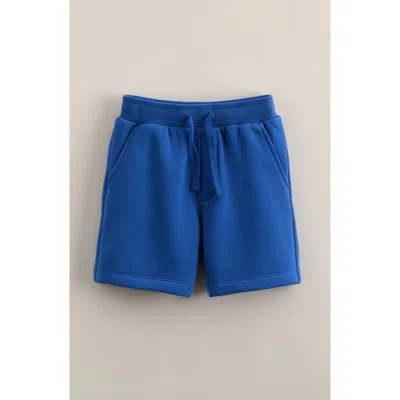 Tucker + Tate Kids' Cotton Blend Fleece Drawstring Shorts In Blue