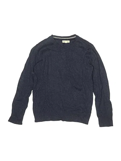 Pre-owned Tucker + Tate Kids' Pullover Sweater In Blue