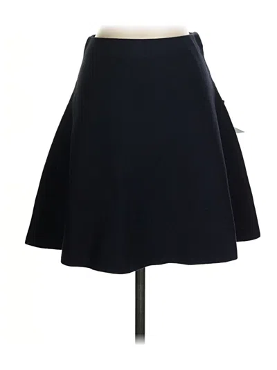 Pre-owned Tuckernuck Casual Skirt In Blue
