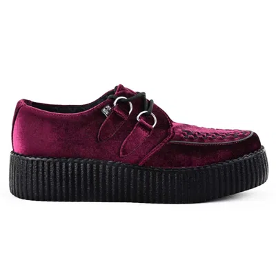 T.u.k Footwear Tuk Viva High Creeper Burgundy Velvet Platform Lace-up Goth Shoes - Av6802